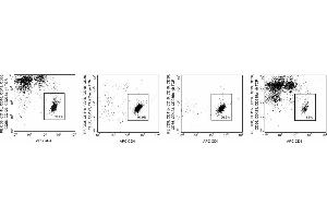 Human CD4 T Lymphocyte Enrichment Set-DM