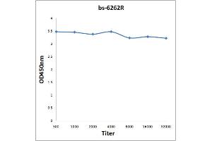 0. (TRIB2 anticorps  (AA 151-250))