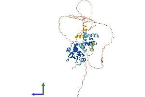 AlphaFold protein structure predicition of Human Recombinant ETS2 Protein, UniprotID P15036