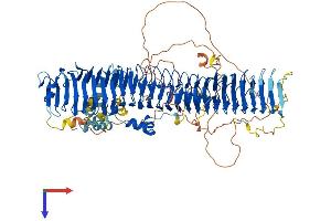 AlphaFold protein structure predicition of Mouse Recombinant Fbxo10 Protein, UniprotID Q7TQF2