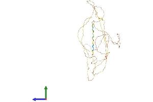 AlphaFold protein structure predicition of Human Recombinant DERPC Protein, UniprotID P0CG12