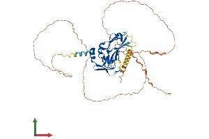 AlphaFold protein structure predicition of Mouse Recombinant Tbx19 Protein, UniprotID Q99ME7