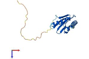 AlphaFold protein structure predicition of Mouse Recombinant Gskip Protein, UniprotID Q8BGR8