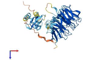 AlphaFold protein structure predicition of Human Recombinant NHLRC1 Protein, UniprotID Q6VVB1