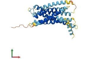AlphaFold protein structure predicition of Mouse Recombinant Gpr141 Protein, UniprotID Q7TQP0