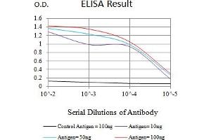 Black line: Control Antigen (100 ng),Purple line: Antigen (10 ng), Blue line: Antigen (50 ng), Red line:Antigen (100 ng) (LILRA4 anticorps  (AA 24-178))