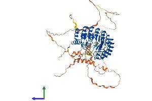 AlphaFold protein structure predicition of Mouse Recombinant Fbxl17 Protein, UniprotID Q9QZN1