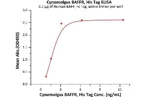 Immobilized Human BAFF, Fc Tag, active trimer (ABIN6972950) at 1 μg/mL (100 μL/well) can bind Cynomolgus BAFFR, His Tag (ABIN6972951) with a linear range of 0.