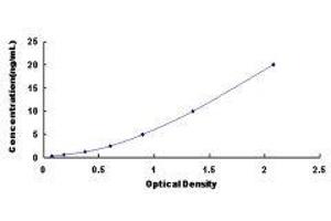 S100 Calcium Binding Protein A9 (S100A9) ELISA Kit