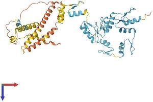 AlphaFold protein structure predicition of Human Recombinant ZNF789 Protein, UniprotID Q5FWF6