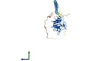 AlphaFold protein structure predicition of Human Recombinant ASGR2 Protein, UniprotID P07307