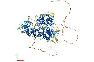 AlphaFold protein structure predicition of Mouse Recombinant Helb Protein, UniprotID Q6NVF4