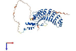 AlphaFold protein structure predicition of Human Recombinant SKP2 Protein, UniprotID Q13309