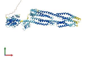 AlphaFold protein structure predicition of Mouse Recombinant Actn1 Protein, UniprotID Q7TPR4