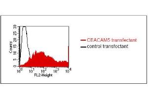 FACS analysis of BOSC23 cells using 26/3/13. (CEACAM5 anticorps)