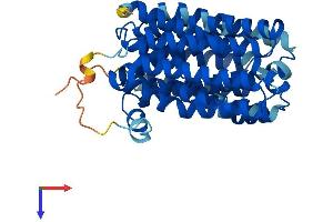 AlphaFold protein structure predicition of Mouse Recombinant Slc22a18 Protein, UniprotID Q78KK3