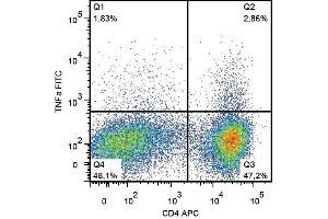 Intracellular staining of CD3-CD28-stimulated buffy coat cells with anti-TNF alpha (MAb11) FITC.