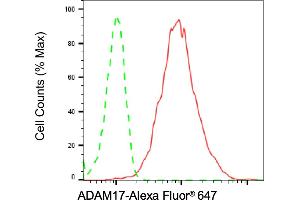 Flow cytometric analysis of ADAM17 expression in C2C12 cells using ADAM17 antibody (ABIN7797502), 1:2,000). (Recombinant ADAM17 anticorps)