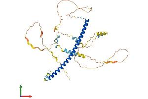 AlphaFold protein structure predicition of Mouse Recombinant Cebpa Protein, UniprotID P53566