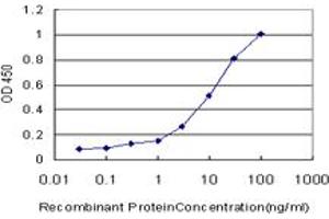 Detection limit for recombinant GST tagged AHR is approximately 0. (Aryl Hydrocarbon Receptor anticorps  (AA 721-820))