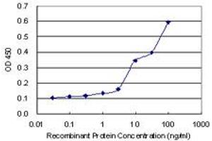 Detection limit for recombinant GST tagged STAT4 is 0. (STAT4 anticorps  (AA 1-748))