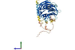 AlphaFold protein structure predicition of Mouse Recombinant Fbxw8 Protein, UniprotID Q8BIA4