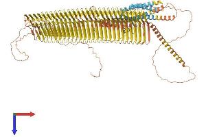 AlphaFold protein structure predicition of Mouse Recombinant Plin4 Protein, UniprotID O88492