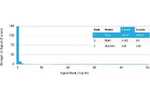 Analysis of Protein Array containing more than 19,000 full-length human proteins using C1QA Mouse Monoclonal Antibody (C1QA/2783) Z- and S- Score: The Z-score represents the strength of a signal that a monoclonal antibody (MAb) (in combination with a fluorescently-tagged anti-IgG secondary antibody) produces when binding to a particular protein on the HuProtTM array. (C1QA anticorps  (AA 104-237))