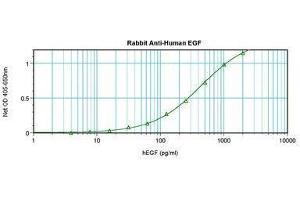 Image no. 1 for anti-Epidermal Growth Factor (EGF) antibody (ABIN465547) (EGF anticorps)