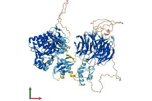 AlphaFold protein structure predicition of Human Recombinant AASDH Protein, UniprotID Q4L235