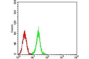 Flow cytometric analysis of K562 cells using ASH2L mouse mAb (green) and negative control (red).