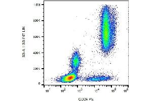 Surface staining of human peripheral blood cells with anti-human CD24 (SN3) PE.