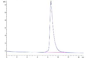 The purity of Mouse MXRA8 is greater than 95 % as determined by SEC-HPLC.