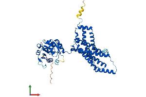 AlphaFold protein structure predicition of Mouse Recombinant Steap4 Protein, UniprotID Q923B6