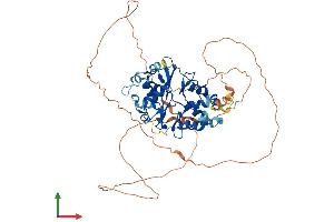 AlphaFold protein structure predicition of Human Recombinant PRKAG2 Protein, UniprotID Q9UGJ0