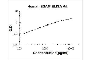 Endothelial Cell Adhesion Molecule (ESAM) ELISA Kit