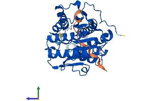 AlphaFold protein structure predicition of Human Recombinant HDAC11 Protein, UniprotID Q96DB2
