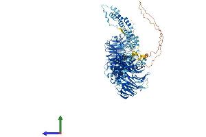 AlphaFold protein structure predicition of Mouse Recombinant Copa Protein, UniprotID Q8CIE6