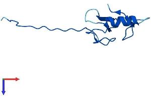 AlphaFold protein structure predicition of Human Recombinant ANAPC11 Protein, UniprotID Q9NYG5