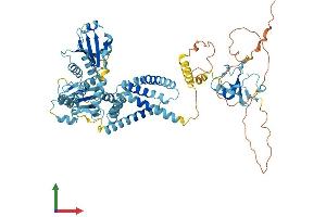 AlphaFold protein structure predicition of Human Recombinant RNF103 Protein, UniprotID O00237