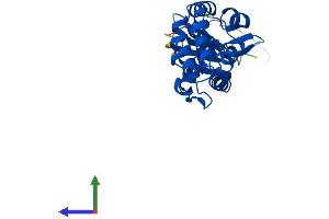 AlphaFold protein structure predicition of Mouse Recombinant Stk19 Protein, UniprotID Q9JHN8