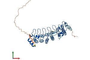 AlphaFold protein structure predicition of Mouse Recombinant Nfkbid Protein, UniprotID Q2TB02