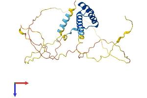 AlphaFold protein structure predicition of Mouse Recombinant Phox2a Protein, UniprotID Q62066
