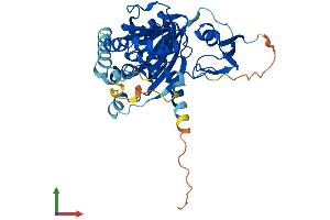 AlphaFold protein structure predicition of Human Recombinant AS3MT Protein, UniprotID Q9HBK9