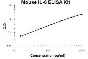 Mouse IL-6 PicoKine ELISA Kit standard curve