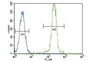 LPL antibody flow cytometric analysis of HeLa cells (green) compared to a negative control (blue). (Lipoprotein Lipase anticorps  (AA 300-327))