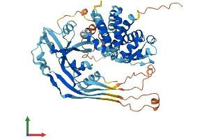 AlphaFold protein structure predicition of Mouse Recombinant Gsdmc4 Protein, UniprotID Q3TR54