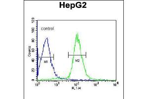 Flow cytometric analysis of HepG2 cells (right histogram) compared to a negative control cell (left histogram). (CCDC85B anticorps  (AA 69-96))