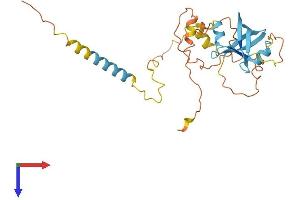 AlphaFold protein structure predicition of Mouse Recombinant Nrip2 Protein, UniprotID Q9JHR9