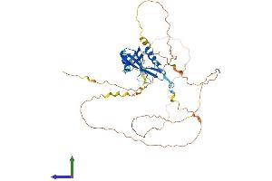 AlphaFold protein structure predicition of Human Recombinant CLNK Protein, UniprotID Q7Z7G1